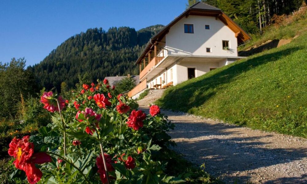 Turistična kmetija Perk Turistična kmetija Perk